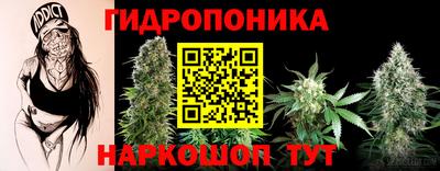 стафф Лесосибирск