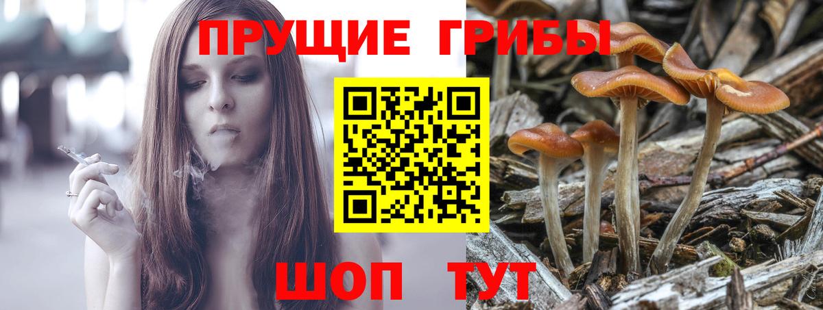 Дедовск  Псилоцибиновые грибы мухоморы  где найти наркотики  Вход с VPN 
